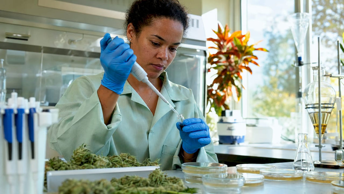 Microbial Testing in CBD: What You Need to Know