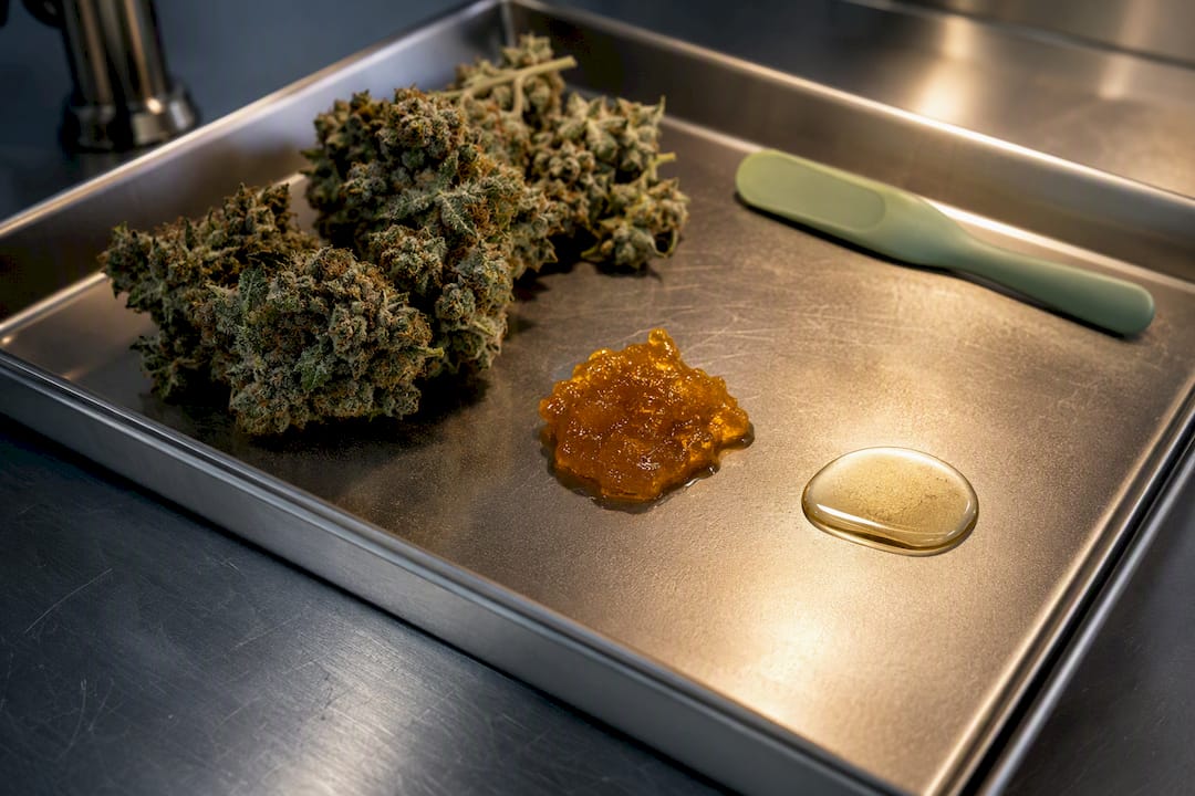 Pick the Right Gummy: 3 Questions to Choose Live Resin or Distillate