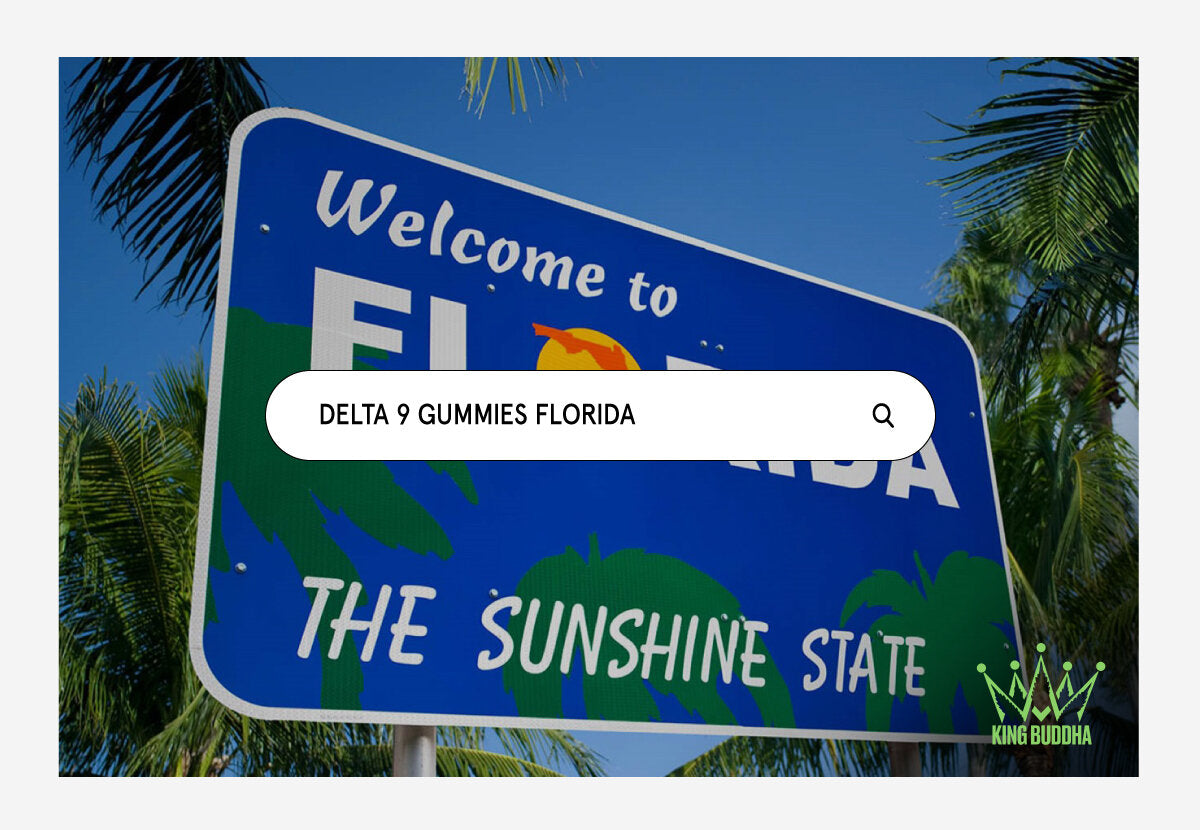 Delta 9 Gummies in Florida: Legalities and Guide - King Buddha