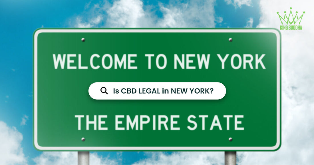 Is CBD Legal in New York? Your Guide to Hemp-Derived CBD in the Empire State | KING BUDDHA - King Buddha
