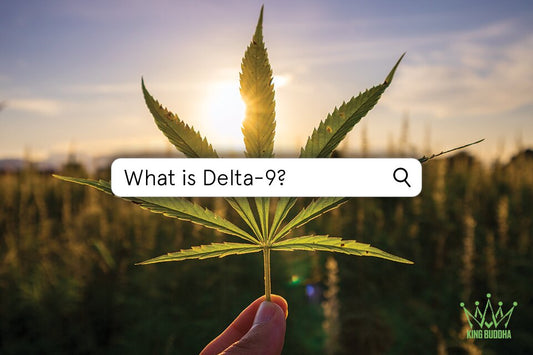 What Is Delta 9 THC And How Does It Stack Up? | King Buddha - King Buddha