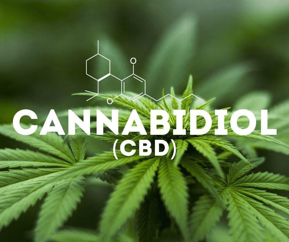 CANNABIDIOL (CBD): Overview, Uses, Side Effects, Precautions, Interactions, Dosing. - King Buddha