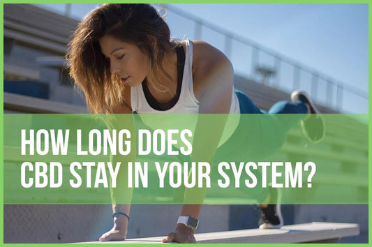 How Long Does CBD Stay In Your System? - King Buddha