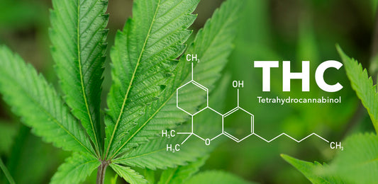 What to know about the types of THC | KING BUDDHA - King Buddha