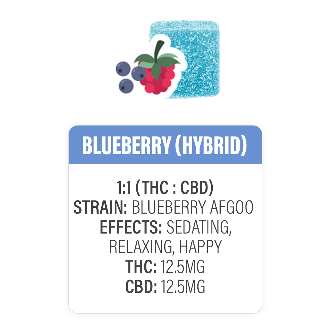 BLUE RAZZ THC + CBD HYBRID GUMMIES