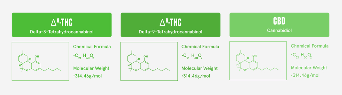 Is Delta 9 THC Legal – King Buddha