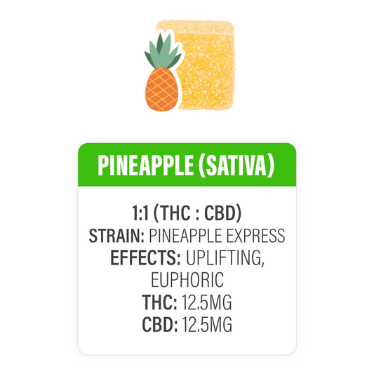 PINEAPPLE THC + CBD SATIVA GUMMIES