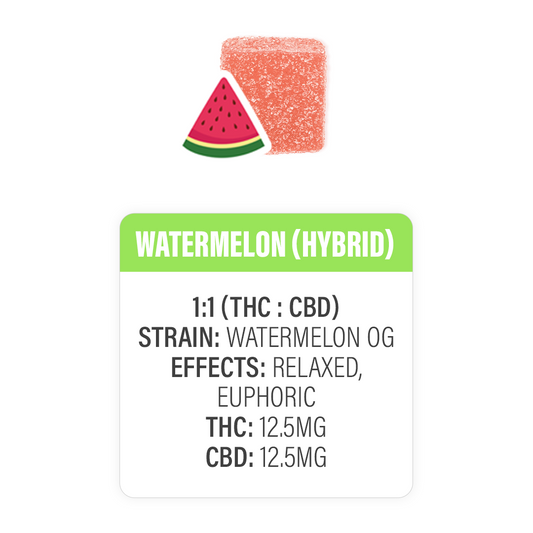 WATERMELON THC + CBD HYBRID GUMMIES